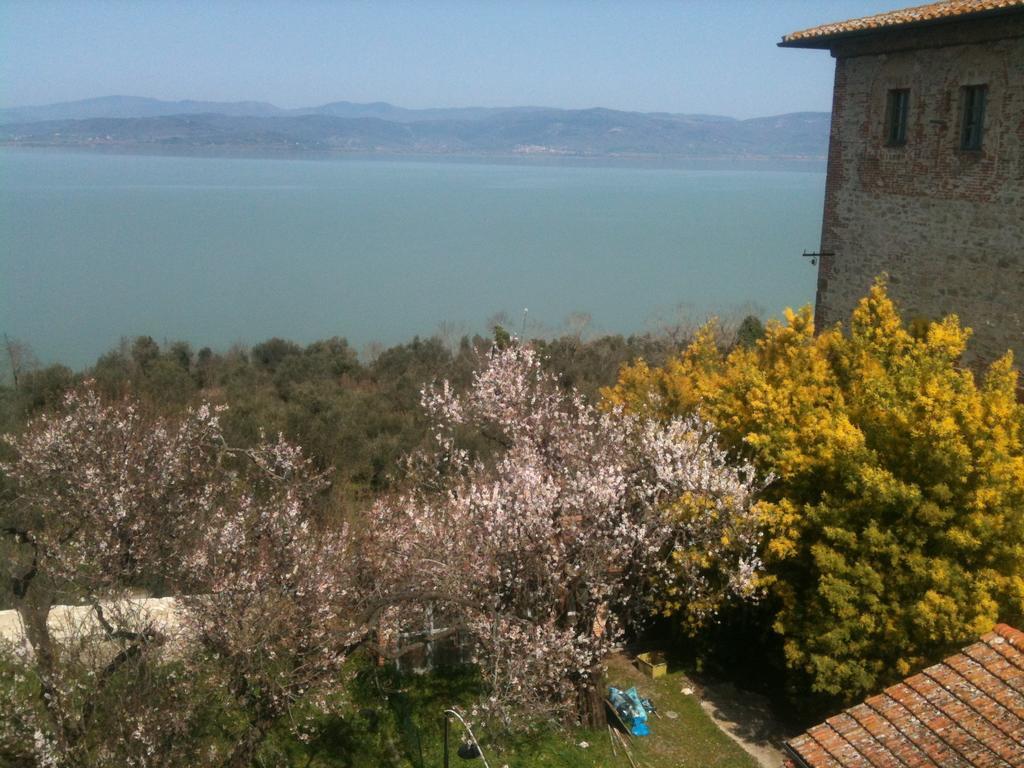 Ascanio Appartamenti Castiglione del Lago Esterno foto